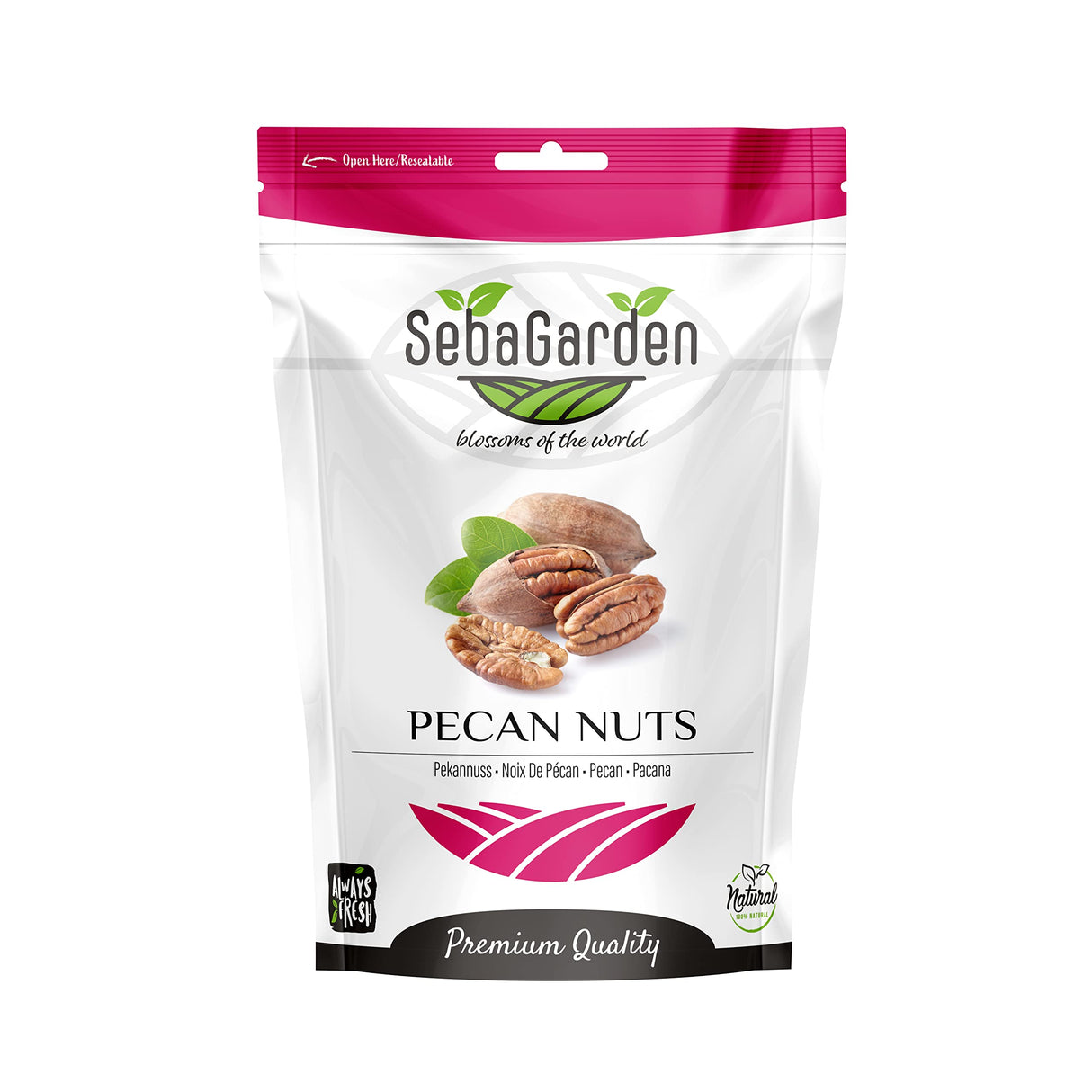 Seba Garden Premium Raw Pecan Nut Halves Grade A Nutrient-Dense Superfood