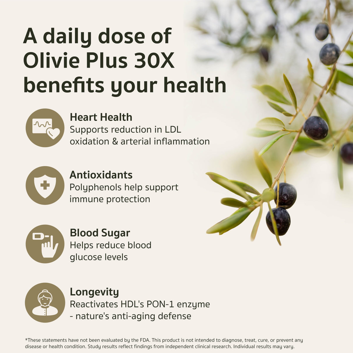 OLIVIE Plus 30X | Authentic High-Polyphenol Moroccan Desert Olive Oil (250ml / 8.45 Fl Oz)