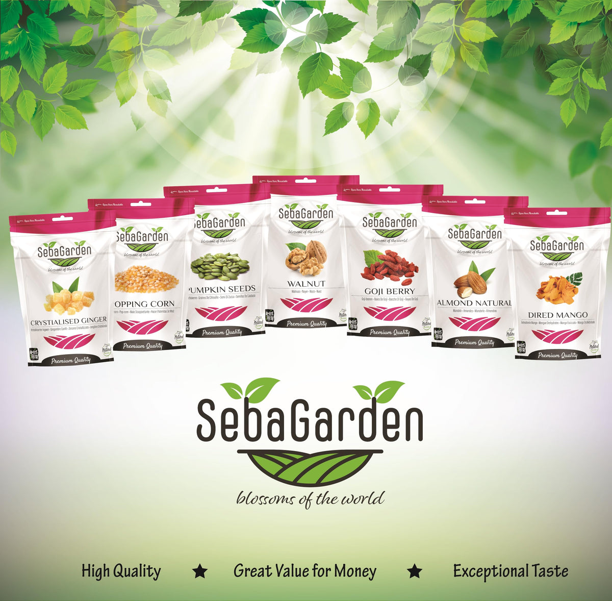 Seba Garden Premium Raw Whole Hazelnut Kernels Grade A Nutrient-Dense Superfood | 1kg