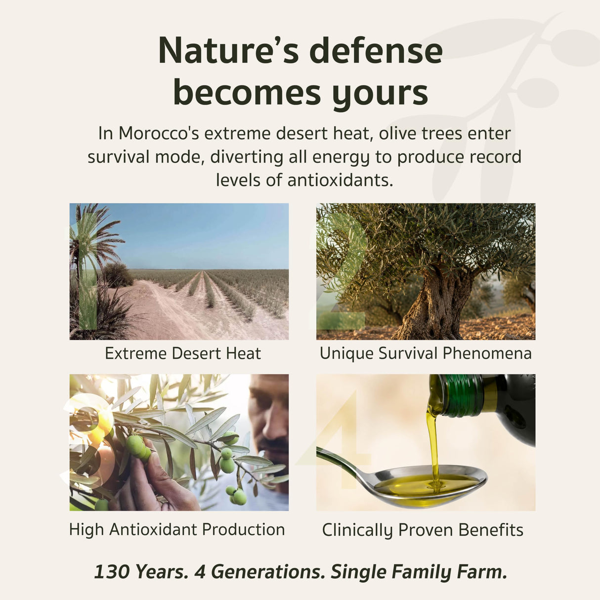 OLIVIE Plus 30X | Authentic High-Polyphenol Moroccan Desert Olive Oil (250ml / 8.45 Fl Oz)