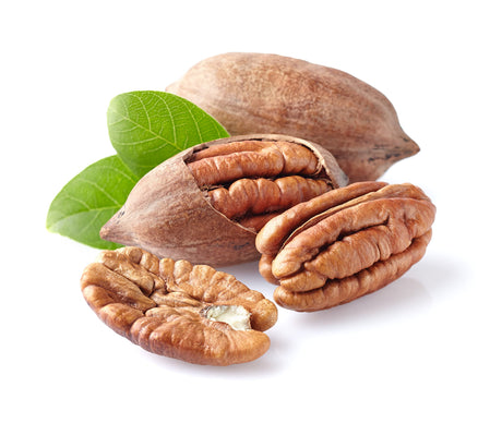 Seba Garden Premium Raw Pecan Nut Halves Grade A Nutrient-Dense Superfood